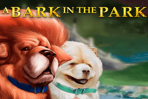 Bark on the Park